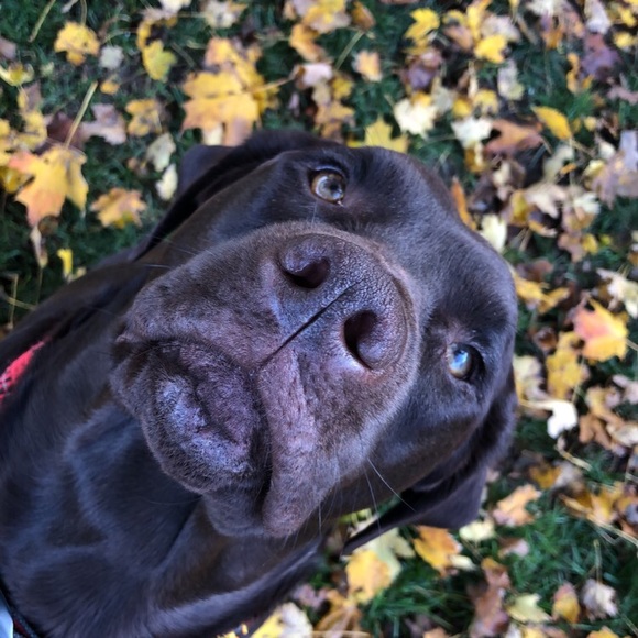 Meet your Posher, Charlotte - Picture 1 of 1